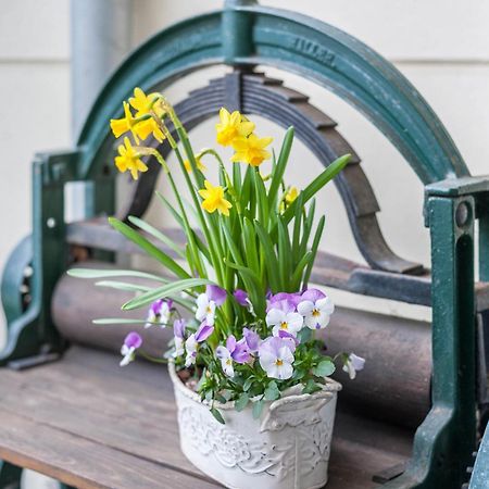Apartment Abendrot Ostseebad Kühlungsborn Eksteriør billede